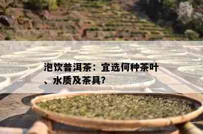 泡饮普洱茶：宜选何种茶叶、水质及茶具？