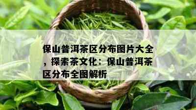 保山普洱茶区分布图片大全，探索茶文化：保山普洱茶区分布全图解析