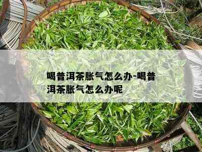 喝普洱茶胀气怎么办-喝普洱茶胀气怎么办呢