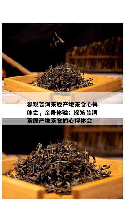 参观普洱茶原产地茶仓心得体会，亲身体验：探访普洱茶原产地茶仓的心得体会