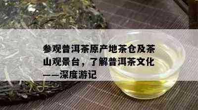 参观普洱茶原产地茶仓及茶山观景台，了解普洱茶文化——深度游记