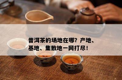 普洱茶的场地在哪？产地、基地、集散地一网打尽！