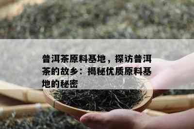 普洱茶原料基地，探访普洱茶的故乡：揭秘优质原料基地的秘密