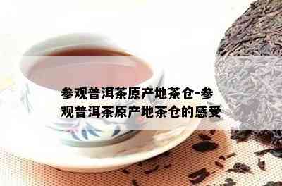 参观普洱茶原产地茶仓-参观普洱茶原产地茶仓的感受