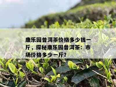 康乐园普洱茶价格多少钱一斤，探秘康乐园普洱茶：市场价格多少一斤？