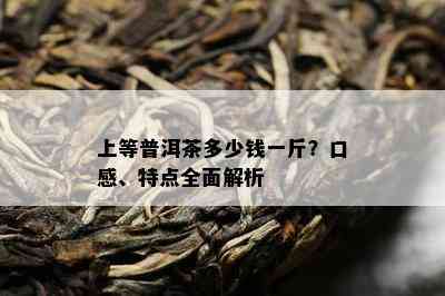 上等普洱茶多少钱一斤？口感、特点全面解析