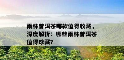 雨林普洱茶哪款值得收藏，深度解析：哪些雨林普洱茶值得珍藏？