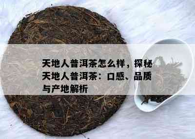 天地人普洱茶怎么样，探秘天地人普洱茶：口感、品质与产地解析