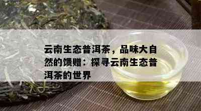 云南生态普洱茶，品味大自然的馈赠：探寻云南生态普洱茶的世界