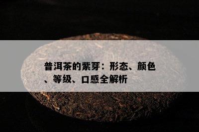 普洱茶的紫芽：形态、颜色、等级、口感全解析