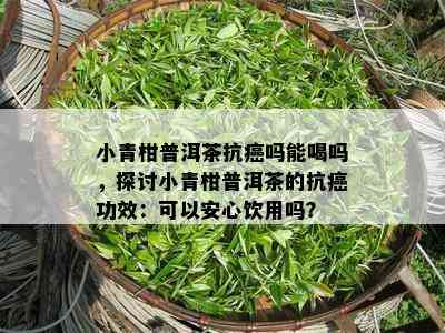 小青柑普洱茶抗癌吗能喝吗，探讨小青柑普洱茶的抗癌功效：可以安心饮用吗？