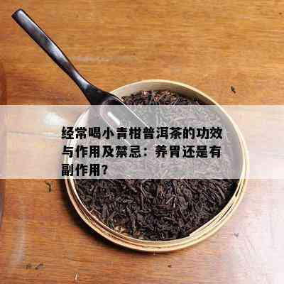 经常喝小青柑普洱茶的功效与作用及禁忌：养胃还是有副作用？