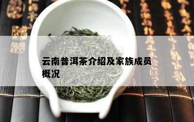 云南普洱茶介绍及家族成员概况