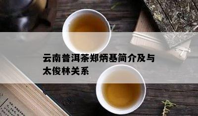 云南普洱茶郑炳基简介及与太俊林关系