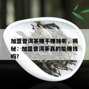 加盟普洱茶赚不赚钱呢，揭秘：加盟普洱茶真的能赚钱吗？