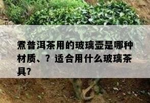 煮普洱茶用的玻璃壶是哪种材质、？适合用什么玻璃茶具？