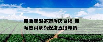 南峤普洱茶旗舰店直播-南峤普洱茶旗舰店直播带货