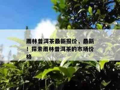 雨林普洱茶最新报价，最新！探索雨林普洱茶的市场价格