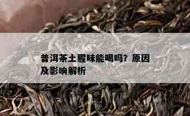 普洱茶土腥味能喝吗？原因及影响解析