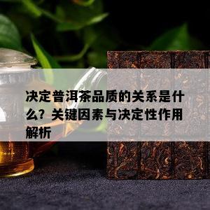 决定普洱茶品质的关系是什么？关键因素与决定性作用解析