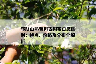 布朗山熟普洱古树茶口感区别：特点、价格及分布全解析