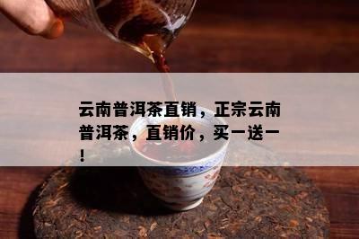 云南普洱茶直销，正宗云南普洱茶，直销价，买一送一！