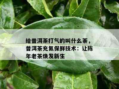 给普洱茶打气的叫什么茶，普洱茶充氮保鲜技术：让陈年老茶焕发新生