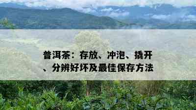 普洱茶：存放、冲泡、撬开、分辨好坏及更佳保存方法
