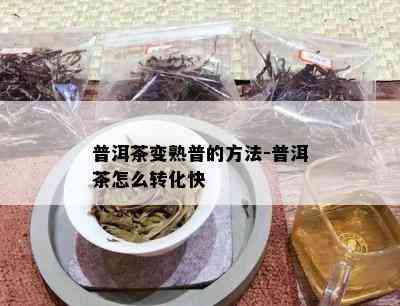 普洱茶变熟普的方法-普洱茶怎么转化快