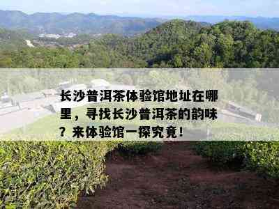 长沙普洱茶体验馆地址在哪里，寻找长沙普洱茶的韵味？来体验馆一探究竟！