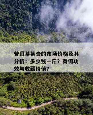 普洱茶茶膏的市场价格及其分析：多少钱一斤？有何功效与收藏价值？