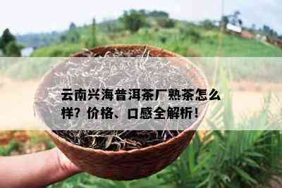 云南兴海普洱茶厂熟茶怎么样？价格、口感全解析！