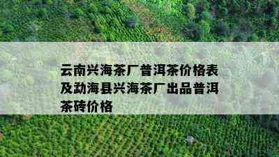 云南兴海茶厂普洱茶价格表及勐海县兴海茶厂出品普洱茶砖价格