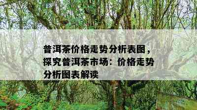 普洱茶价格走势分析表图，探究普洱茶市场：价格走势分析图表解读