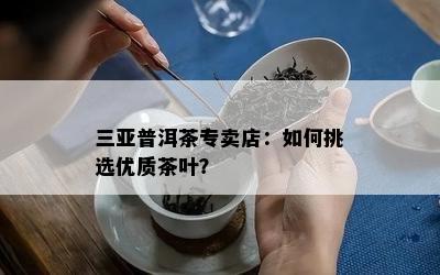 三亚普洱茶专卖店：如何挑选优质茶叶？