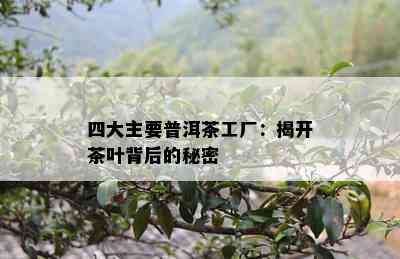 四大主要普洱茶工厂：揭开茶叶背后的秘密