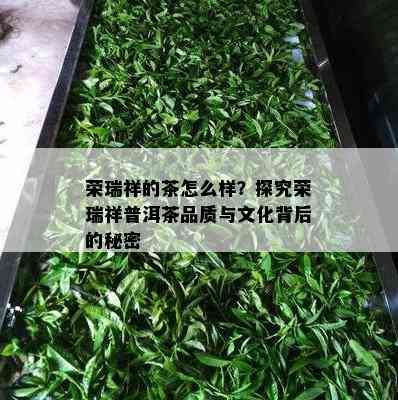 荣瑞祥的茶怎么样？探究荣瑞祥普洱茶品质与文化背后的秘密