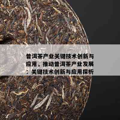 普洱茶产业关键技术创新与应用，推动普洱茶产业发展：关键技术创新与应用探析