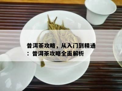 普洱茶攻略，从入门到精通：普洱茶攻略全面解析