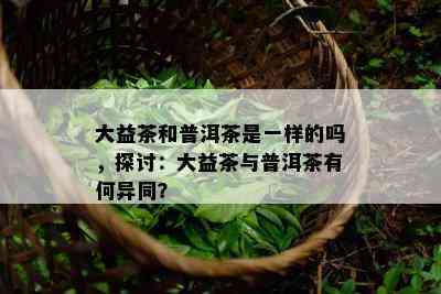 大益茶和普洱茶是一样的吗，探讨：大益茶与普洱茶有何异同？