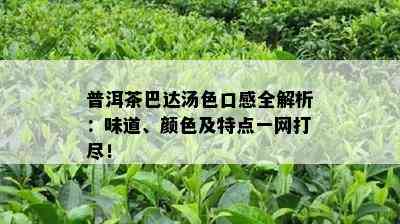 普洱茶巴达汤色口感全解析：味道、颜色及特点一网打尽！