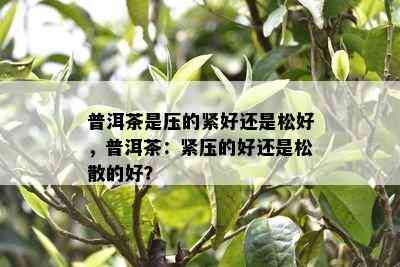 普洱茶是压的紧好还是松好，普洱茶：紧压的好还是松散的好？