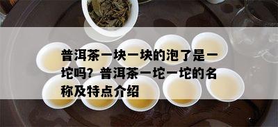 普洱茶一块一块的泡了是一坨吗？普洱茶一坨一坨的名称及特点介绍