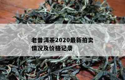 老普洱茶2020最新拍卖情况及价格记录