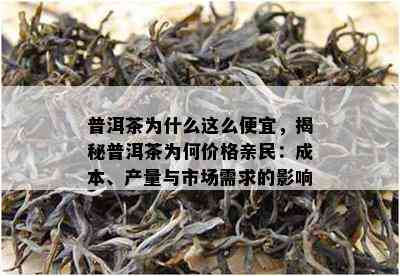 普洱茶为什么这么便宜，揭秘普洱茶为何价格亲民：成本、产量与市场需求的影响