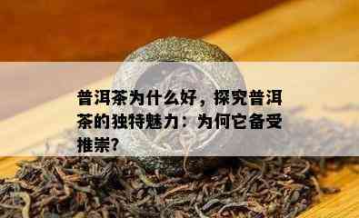 普洱茶为什么好，探究普洱茶的独特魅力：为何它备受推崇？