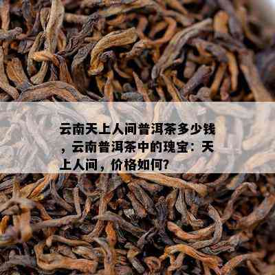 云南天上人间普洱茶多少钱，云南普洱茶中的瑰宝：天上人间，价格如何？