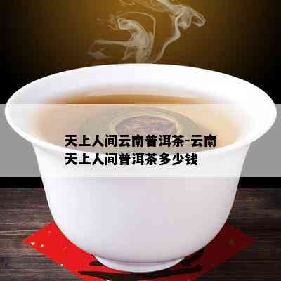 天上人间云南普洱茶-云南天上人间普洱茶多少钱