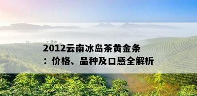 2012云南冰岛茶黄金条：价格、品种及口感全解析