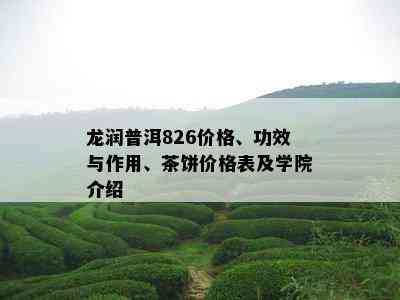 龙润普洱826价格、功效与作用、茶饼价格表及学院介绍